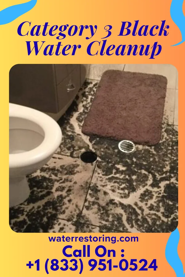 Category 3 Black Water Cleanup in Jefferson, SD
