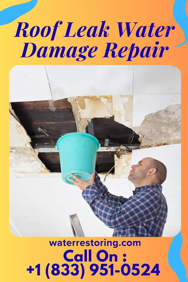 Roof Leak Water Damage Repair in Jefferson, SD