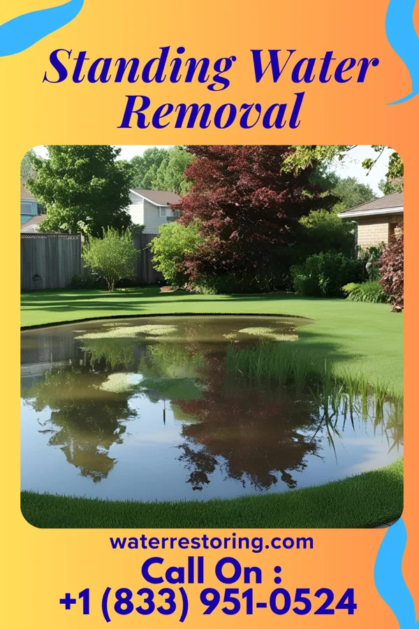 Standing Water Removal in Jefferson, SD